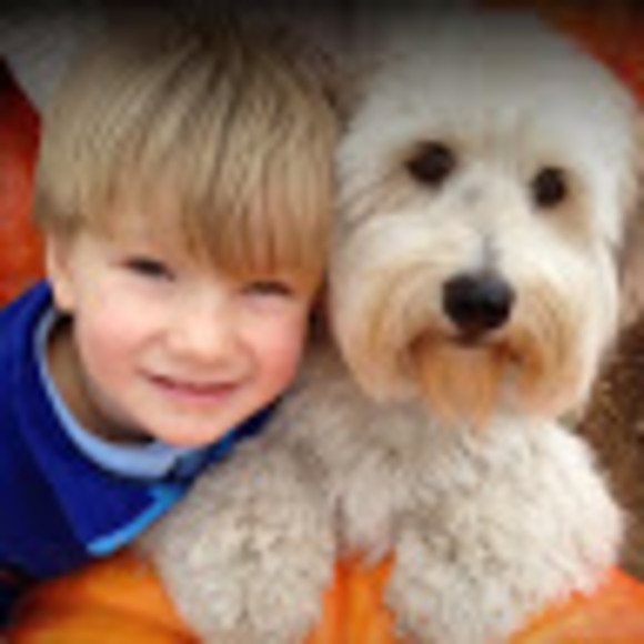 Meet your Posher, Ruth - Picture 1 of 1